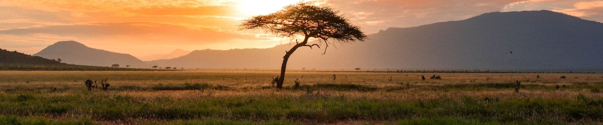 Masai Mara