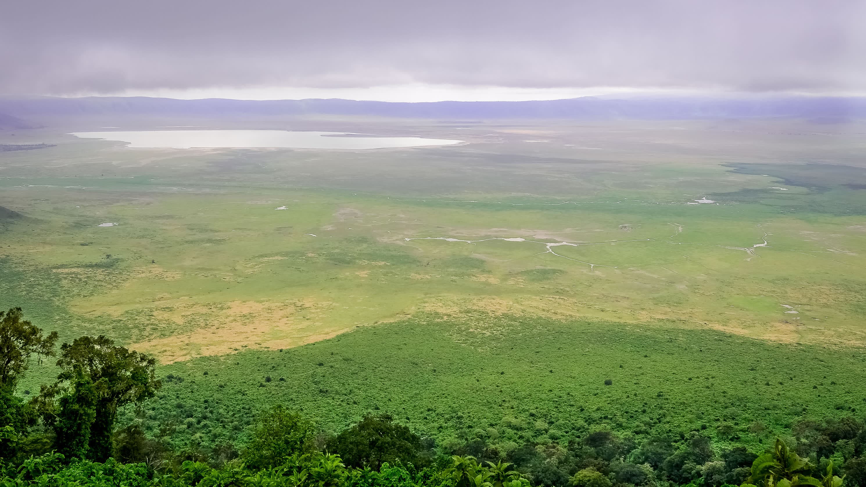 Ngorongoro Conservation