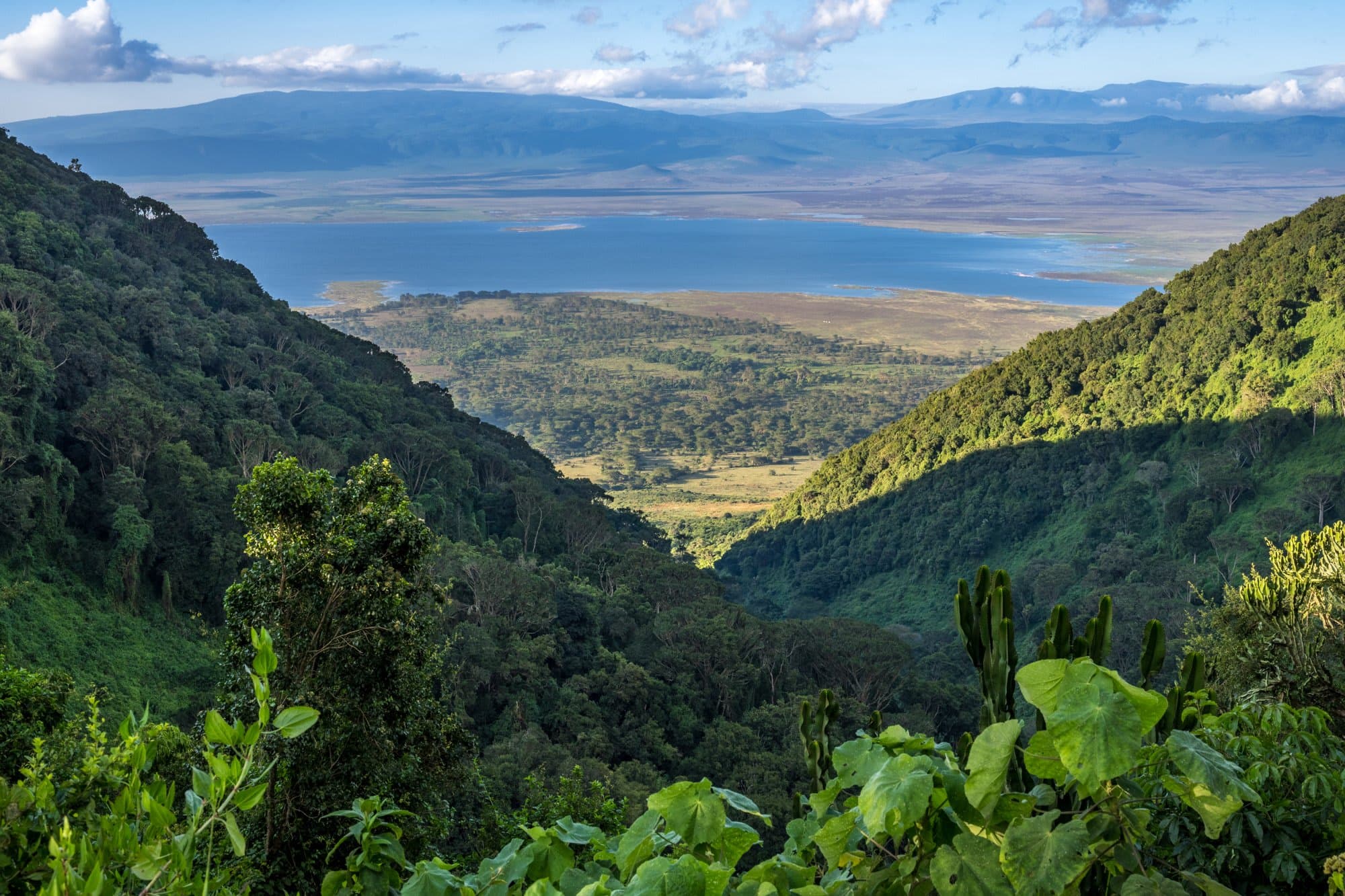 Ngorongoro Conservation photo 1