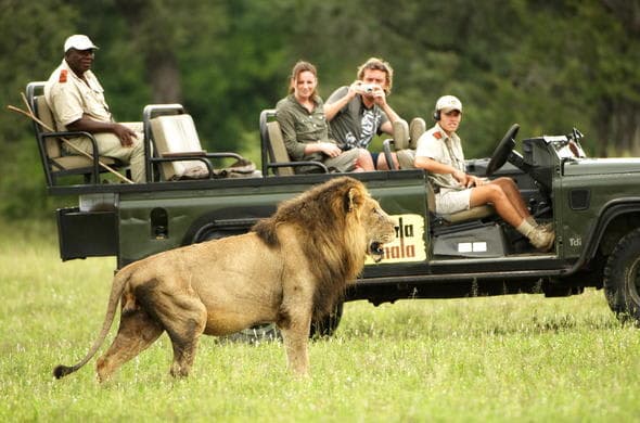 Sabi Sands, Mala Mala Game Reserve photo 1