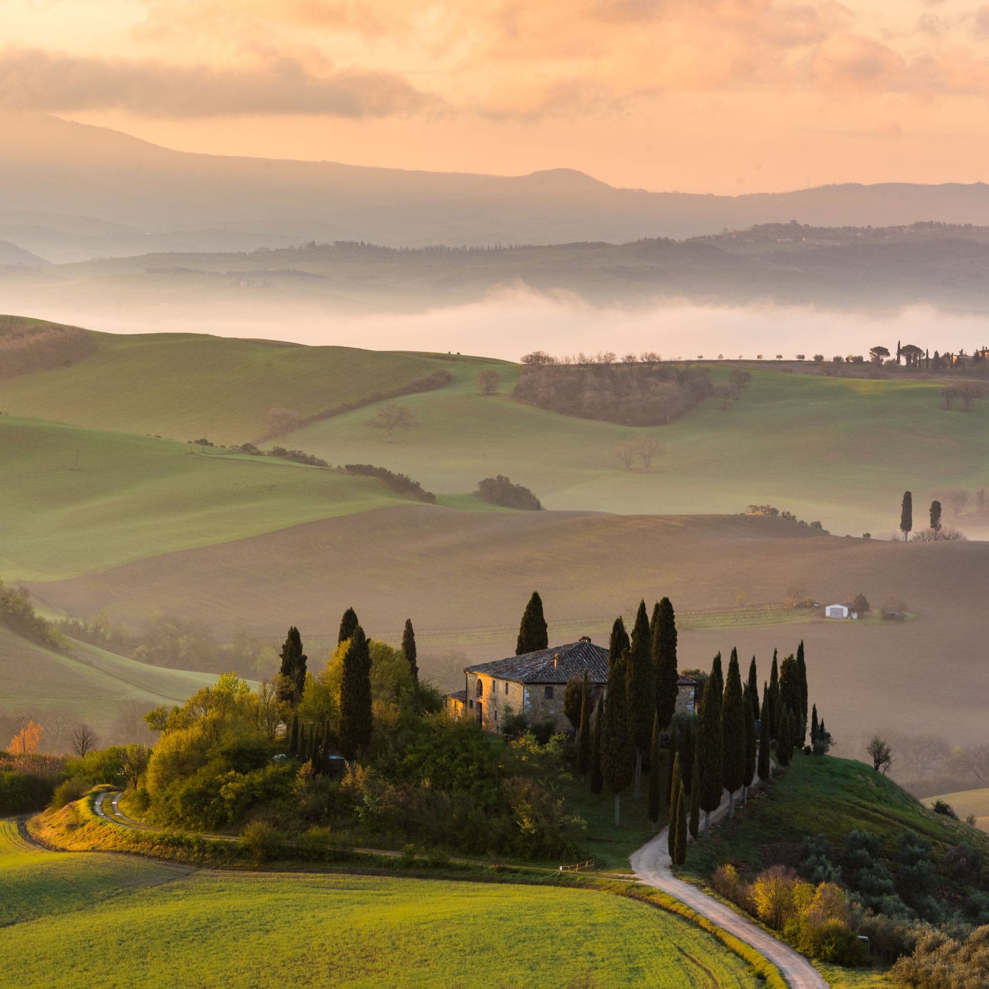 Tuscany Wine Region photo 3